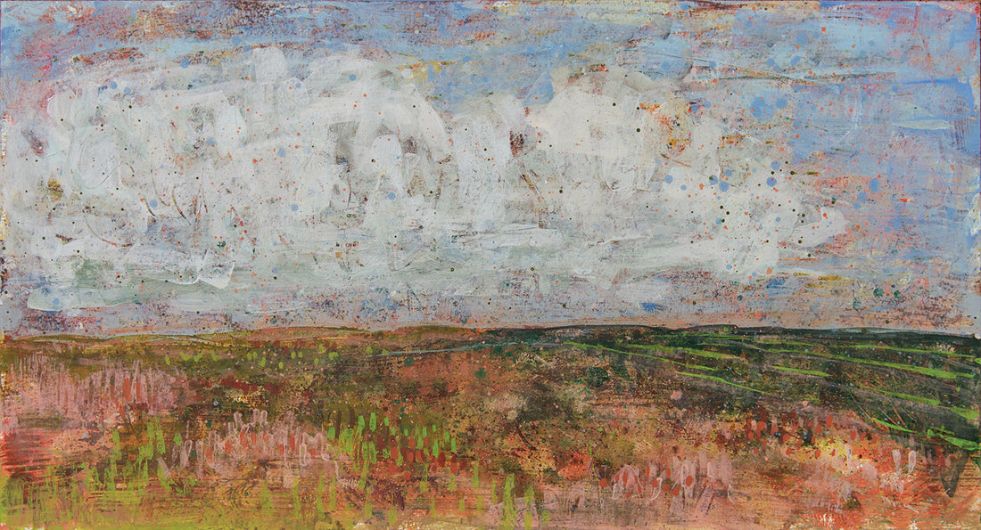 Llanero. The book that made me a landscape artist.
