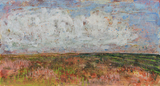 Llanero. The book that made me a landscape artist.